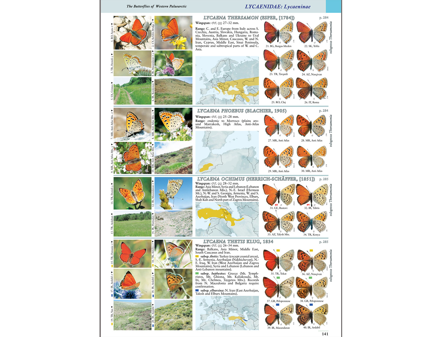 Butterflies of Western Palaearctic vol 1 p 141